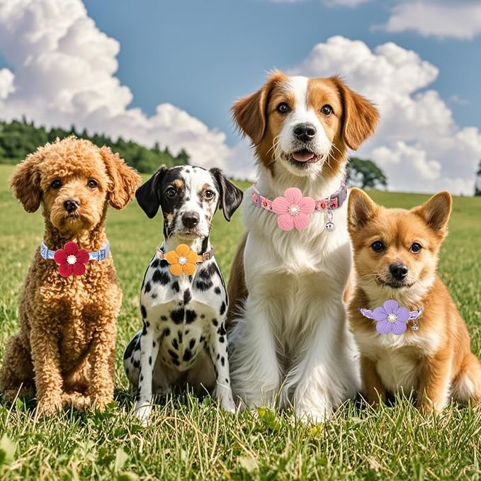 Large Dog Collar with Flower, Dog Collars - Image 6