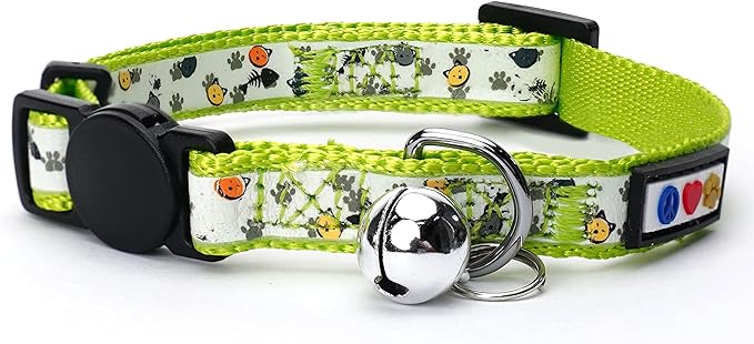 Pawtitas Glow in The Dark Cat Collar by Pawtitas