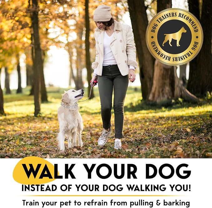 PetJett Prong Collar for Dogs - Image 2