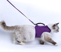 Cat Harness and Leash for Walking Escape Proof Breathable Mesh Fabric, Extra by Yizhi+Miaow