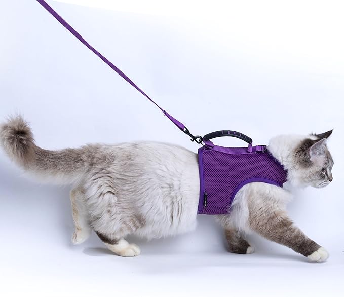 Cat Harness and Leash for Walking Escape Proof Breathable Mesh Fabric, Extra by Yizhi+Miaow