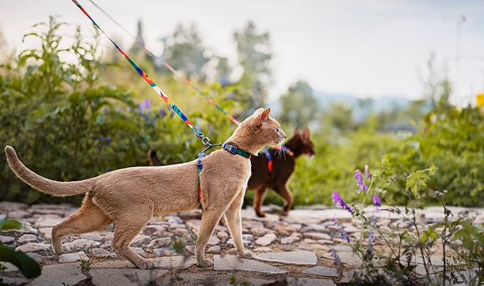 pidan Cat Harness and Leash Set, XL Size - Image 8