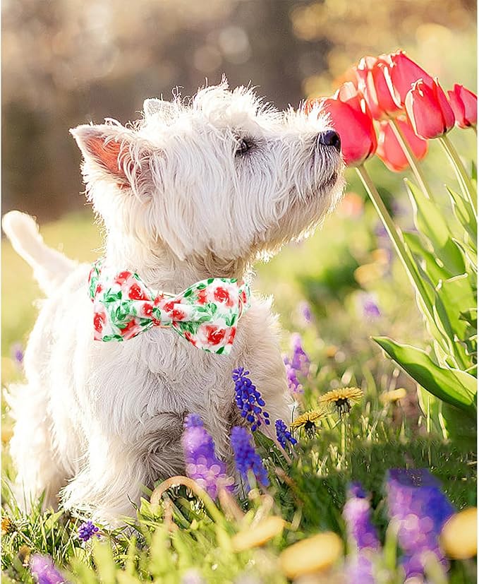 Lionheart glory Dog Collar Bow Collar Floral Dog Collar - Image 3