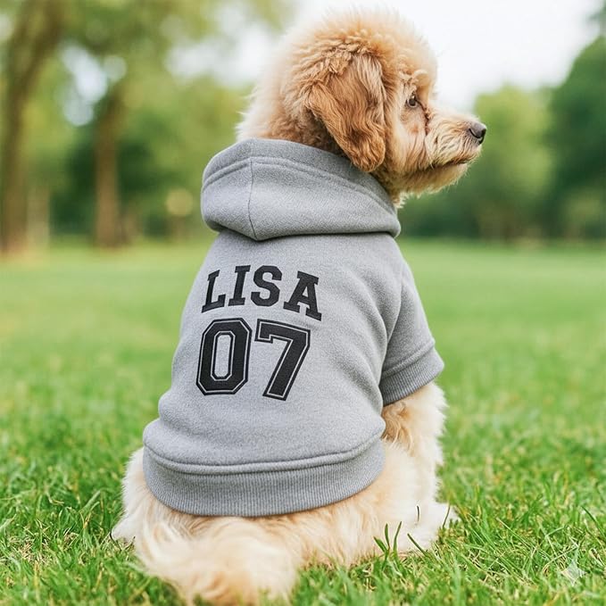 Personalized Name Dog Hoodie, Embroidered Puppy Sweater - Image 4