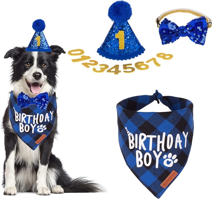 ADOGGYGO Dog Birthday Party Supplies, Pet Party Hat by ADOGGYGO
