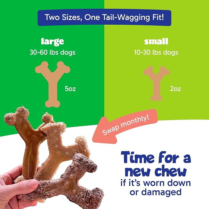Chew'ems Durable Chew Toys for Small Dogs | Long-Lasting & Flavorful Chew Dog - Image 5
