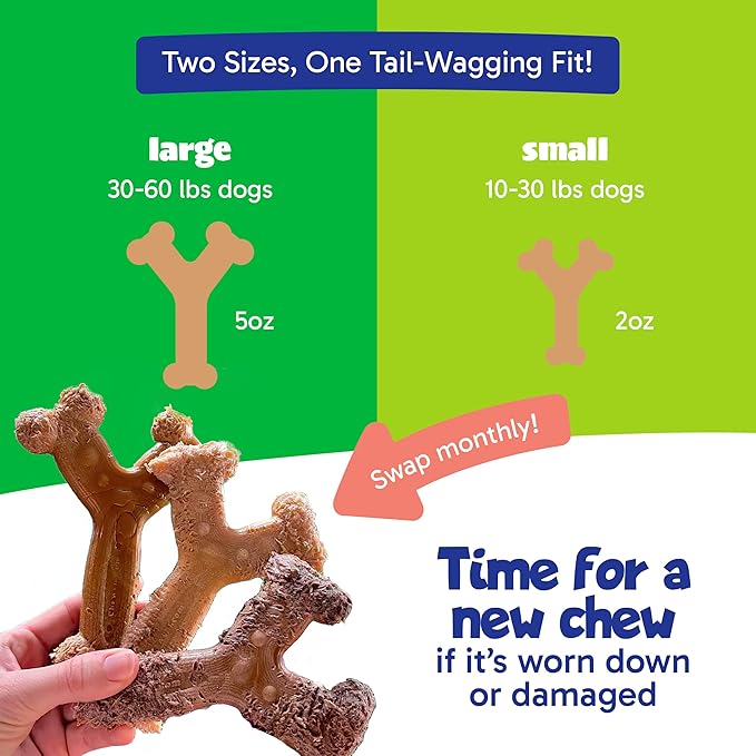 Chew'ems Durable Chewy Dog Toys | Long-Lasting & Flavorful Chew Dog Toys - Image 5