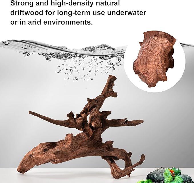 majoywoo Natural Large Coral Driftwood - Image 4