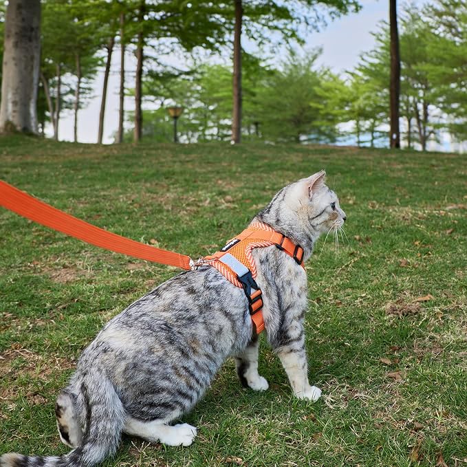 Cat Harness and Leash Escape Proof Extra Large Kitten Harness Maine Coon Cat - Image 8