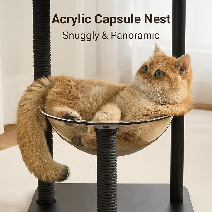 Modern Cat Tree Tower for Indoor Cats up to 12lbs, Wood Cat Bed - Image 3