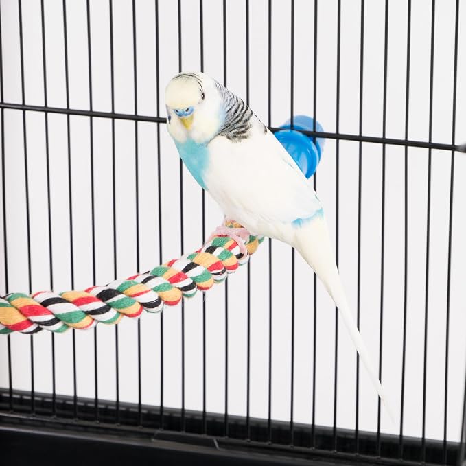 PENN-PLAX Bird Life Multicolored and Flexible Rope Perch – Create Fun, Colorful - Image 3