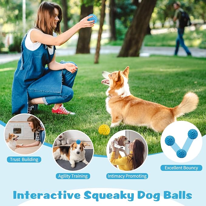 HIPPIH Indestructible Squeaky Dog Toys, Interactive Dog Balls 2 Pack, Dog Chew - Image 6