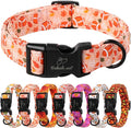 Fall Dog Collar, Cute Football Pattern Puppy Collar by Babolepet