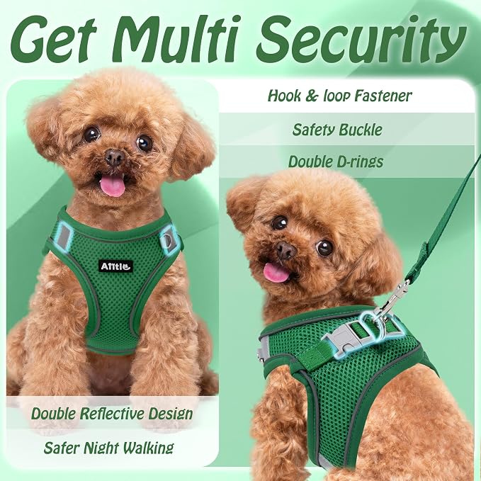 AIITLE No Pull Dog Harness and Leash Set, Step in Adjustable Dog Harness - Image 6