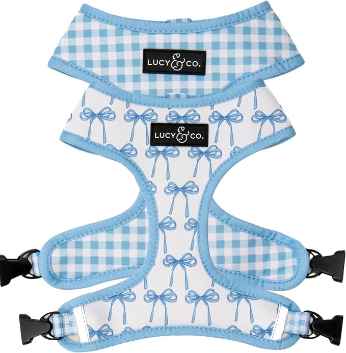 Lucy & Co. Cute Reversible Dog Harness Walking Halter by LucyCo