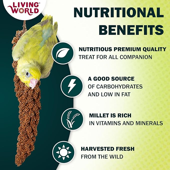 Living World – Millet Spray for Birds, 7 Oz – Premium Treat for Budgies - Image 2