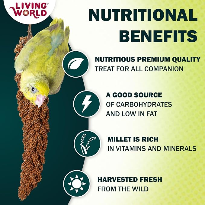 Living World – Millet Spray for Birds, 5 Pounds – Premium Treat for Budgies - Image 2