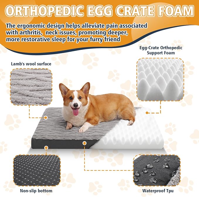 XL Orthopedic Dog Bed - Image 6