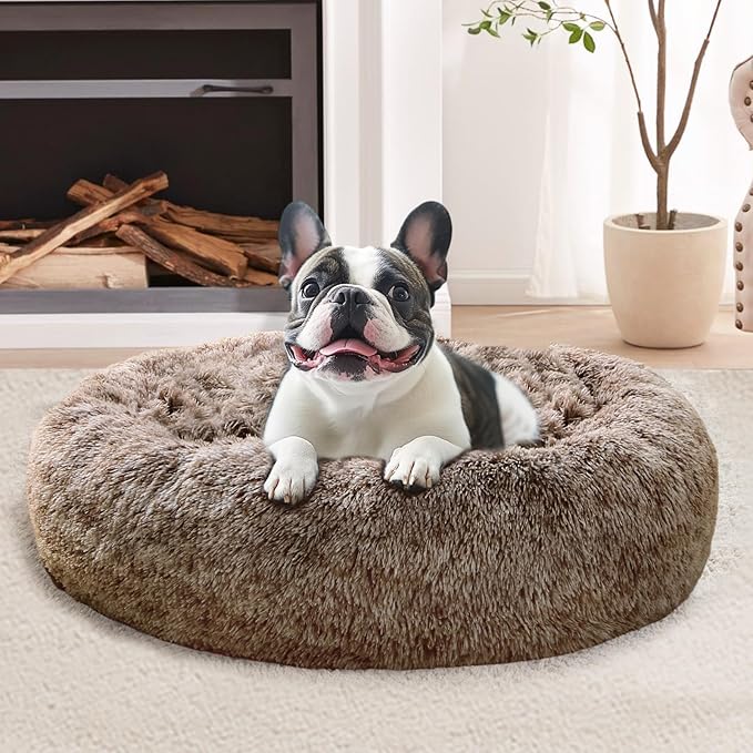 JOLLYVOGUE Calming Dog Bed for Small Dogs by JOLLYVOGUE