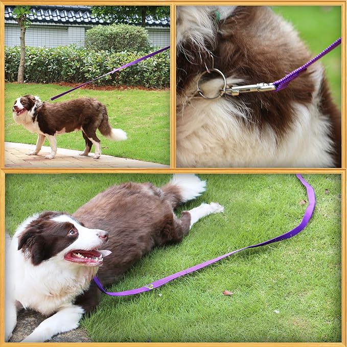 AmaGood Dog/Puppy Obedience Recall Training Long Dog Leash- 20 feet 30 feet 50 - Image 3