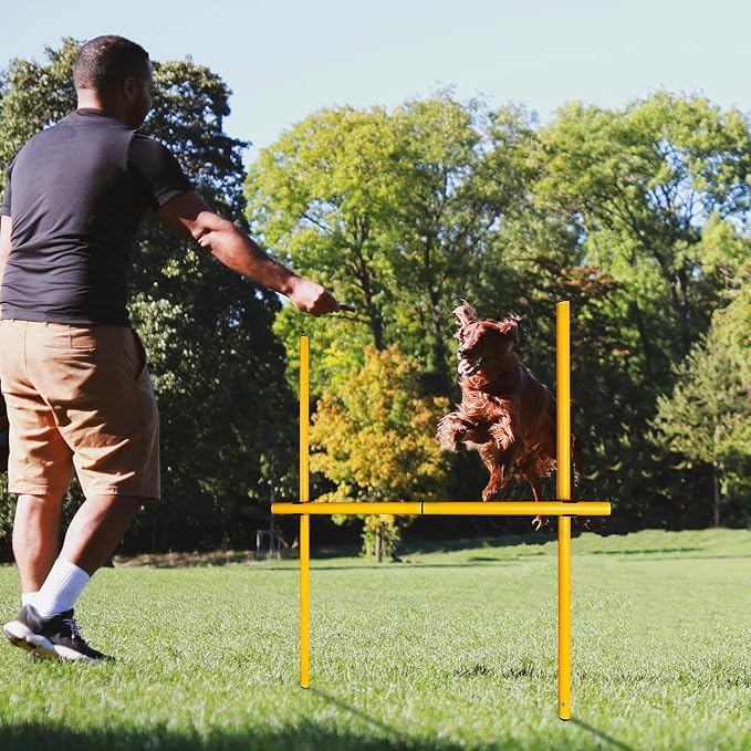TNZMART 2.6 FT Dog Agility Obstacle Course Backyard Set - Image 5