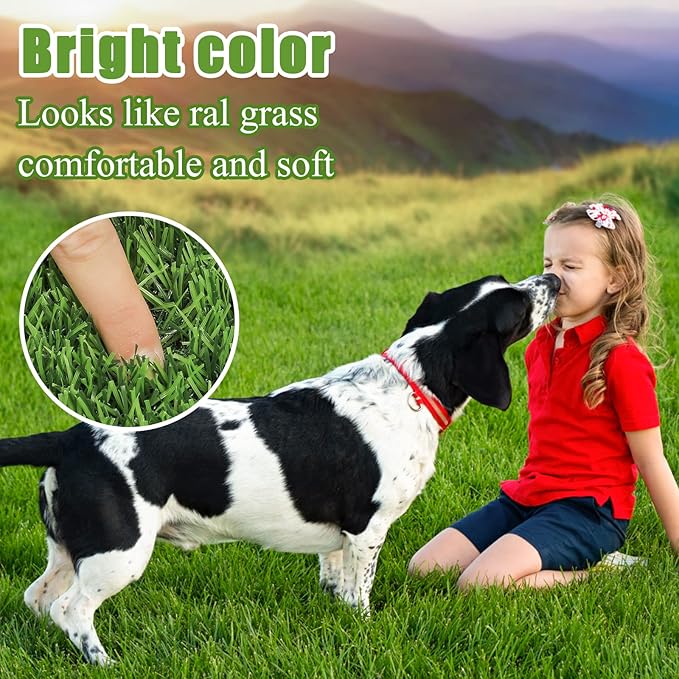 Bsmathom Artificial Grass Rug Indoor Outdoor Rug, Dog Grass Mat - Image 6
