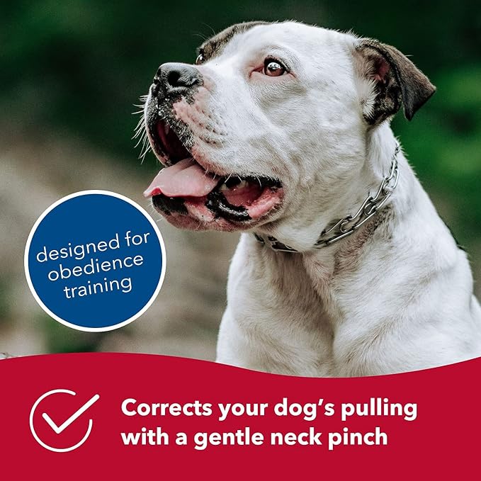 Herm Sprenger Ultra-Plus Prong Dog Training Collar, 2.25 mm x 13" Neck Size - Image 6