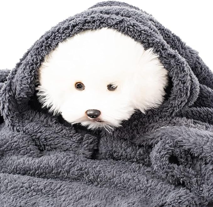2 Blankets, Dog Cat Pet Blanket, Soft Warm Fleece, - Image 6