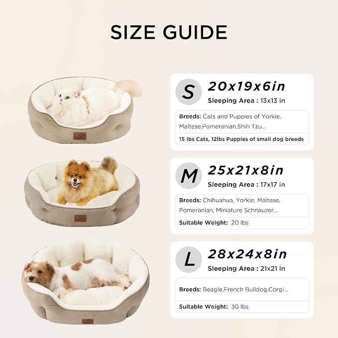 Bedsure Dog Beds for Small Dogs - Image 6