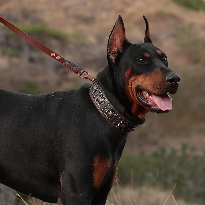PET ARTIST Upgrade Padded Leather Dog Collar, 2 inch Wide Genuine Leather Dog - Image 2