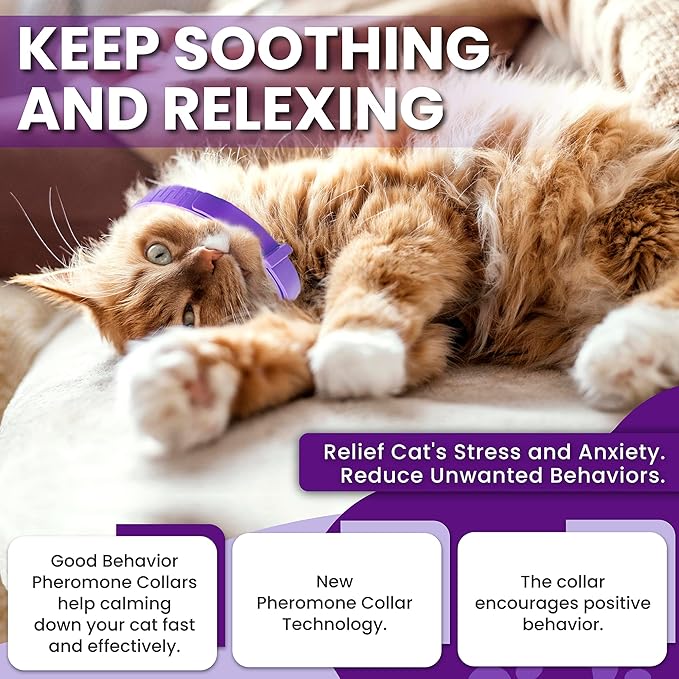 Pheromone Calming Collar for Cats: Breakaway Cat Calming Collar for Anxiety - Image 2