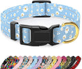 Reflective Dog Collar for Large Dogs, Cute Daisy Theme Adjustable Heavy-Duty by TMOODEL