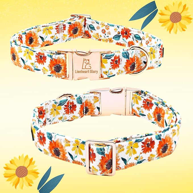 Lionheart Glory Floral Dog Collar - Image 5