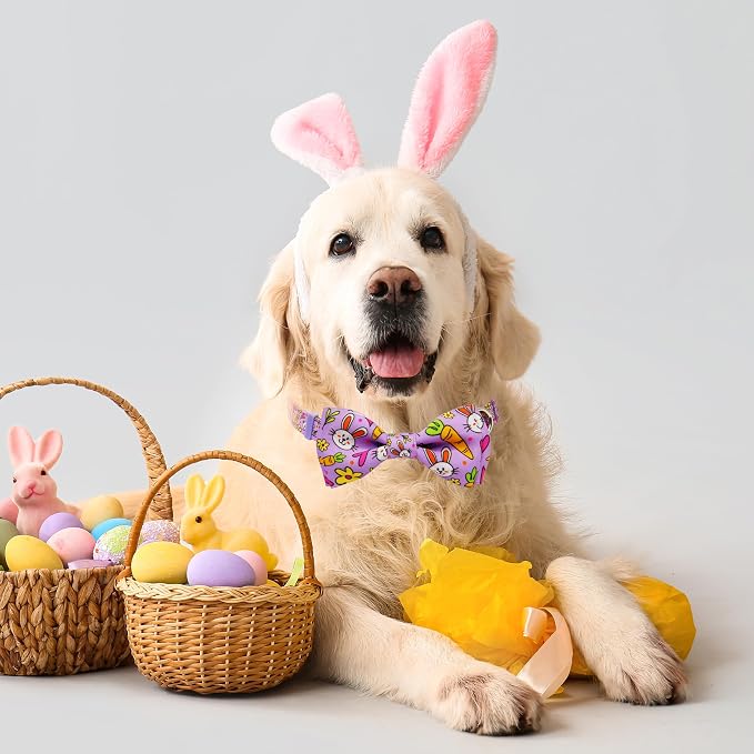 Easter Dog Collar with Bow Tie Set, Adjustable Purple Bunny and Carrot Pattern - Image 4