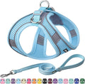 AIITLE No Pull Dog Harness and Leash Set, Step in Adjustable Dog Harness by AIITLE-FORPETSBETTERLIFE