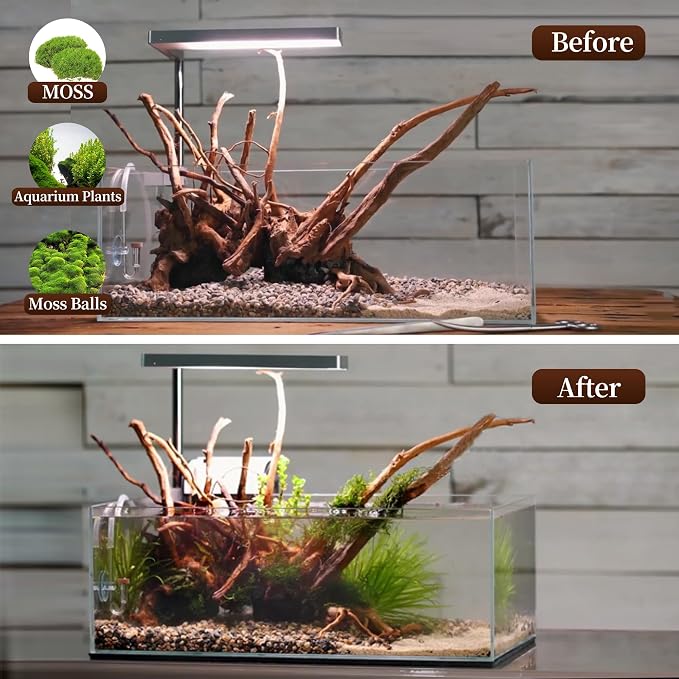 majoywoo Natural Driftwood for Aquarium Decor Fish Tank Decorations, Reptile - Image 5