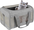 Cat Carrying Case by home