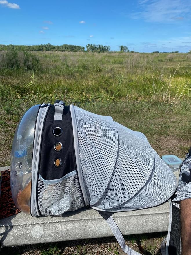 Back Expandable Cat Backpack Carrier, Fit up to 12 lbs, Space Capsule Bubble - Image 5