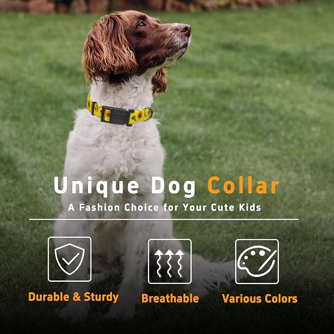 Dog Collar, Floral Boys Girls Puppy Collar - Image 5