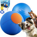 ZIDA 18" Herding Ball for Dogs and Horses by Unknown