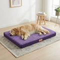 Patas Lague Orthopedic XL Dog Bed Large Sized Dog 42''X28'', Soft Waterproof by PatasLague