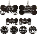 Ultra Joys Stainless Steel Pet ID Tag Dog Name Tags Personalized Front and Back by UltraJoys