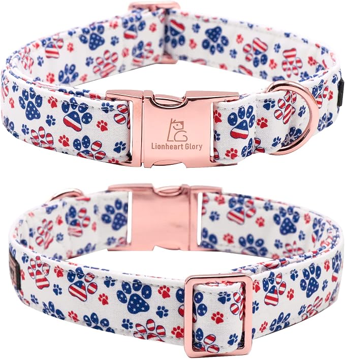 Lionheart Glory American Flag Dog Collar - Image 3