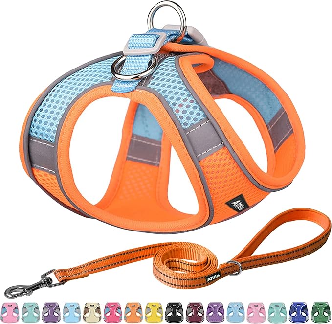 AIITLE Comfortable Dog Harness and Leash Set by AIITLE-FORPETSBETTERLIFE