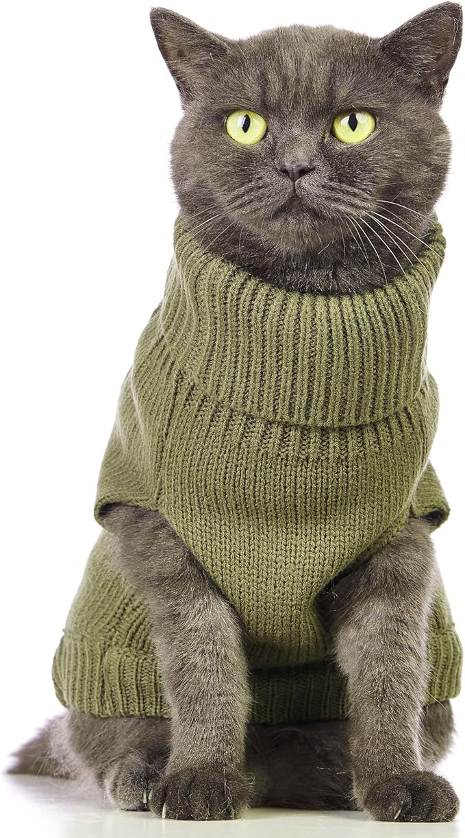Stretchy Cat Sweater - Image 2