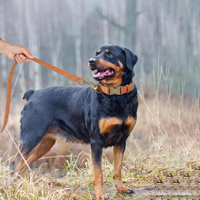Didog Soft PU Leather Dog Collar, Stylish Quick Released Dog Collars - Image 3