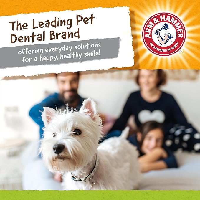ARM & HAMMER for Pets Nubbies Duality Bone Dental Dog Toy- Best Dog Chew Toy - Image 6