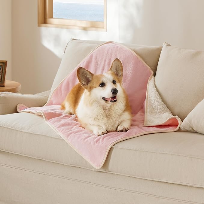 Bedsure Cat Blanket for Indoor Cats by BEDSURE