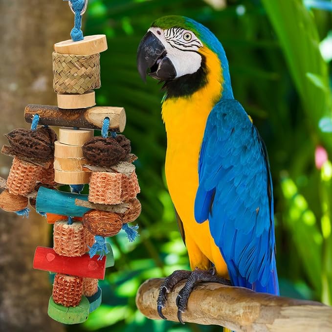 Parrot Chew Toy, Corn Cob and Nut, Non Edible Coloring, Beak Health, Foraging - Image 5