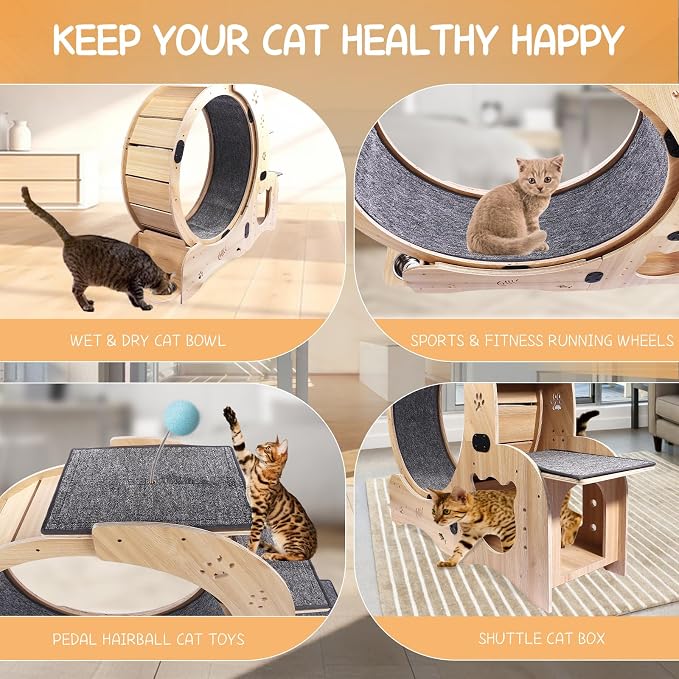 6-in-1 Cat Exercise Wheel - Image 6